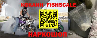 прущие крисы Новозыбков