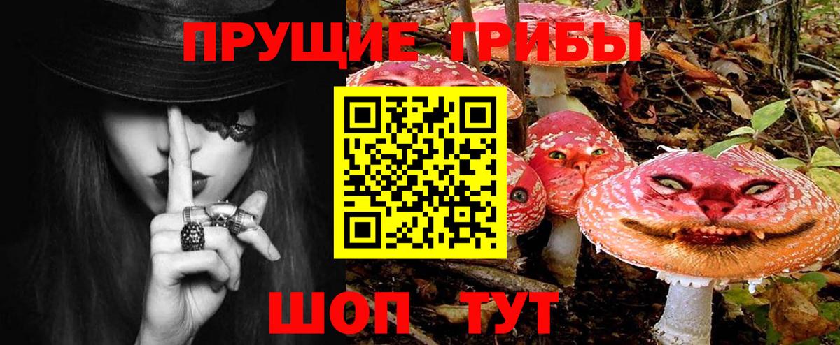 Галлюциногенные грибы прущие грибы  Вход с VPN  Донецк 